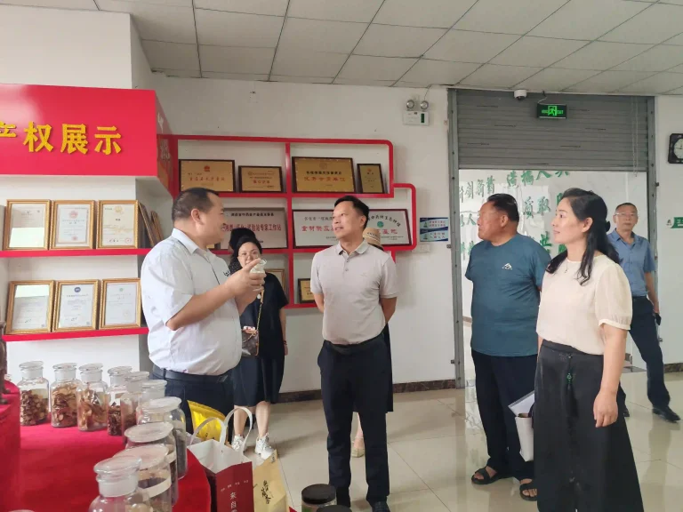 侨联刘主任听取王依清总经理介绍