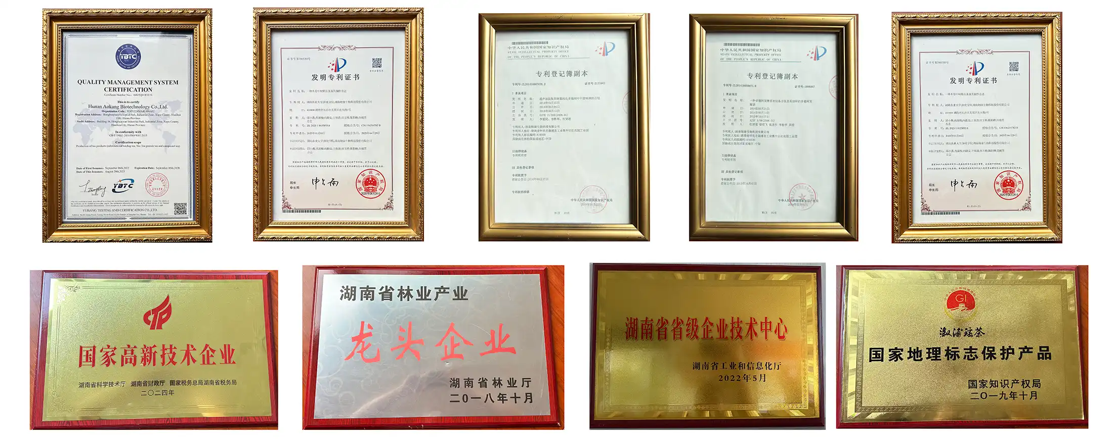 翱康荣誉证书
